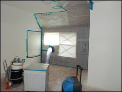 Houston Mold Remediation Services